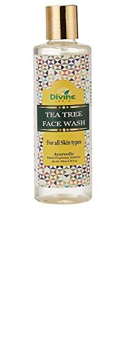 Divine India Tea Tree Face Wash 200 Ml