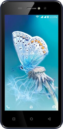 Intex Aqua Amaze Plus (Blue, 8 GB)(1 GB RAM)