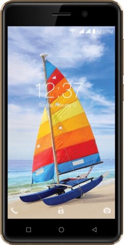 Intex Aqua Strong 5.1 Plus (Gold, 8 GB)(1 GB RAM)