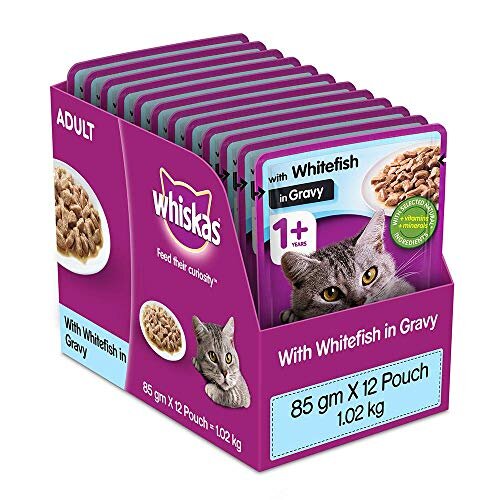 Whiskas Adult (+1 Year) Wet Cat Food Food, Tuna in Jelly Monthly Pack, 48 Pouches